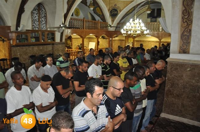 tarawee7 kabeer j (8).JPG